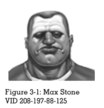 VDSG Figure 3-1 Max Stone.png