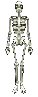 SkeletonSpin.gif