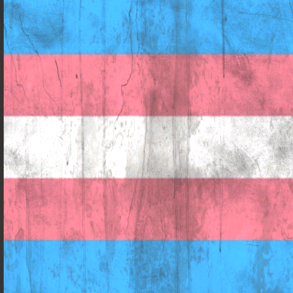 Transgender, LGBTQIA+ Wiki