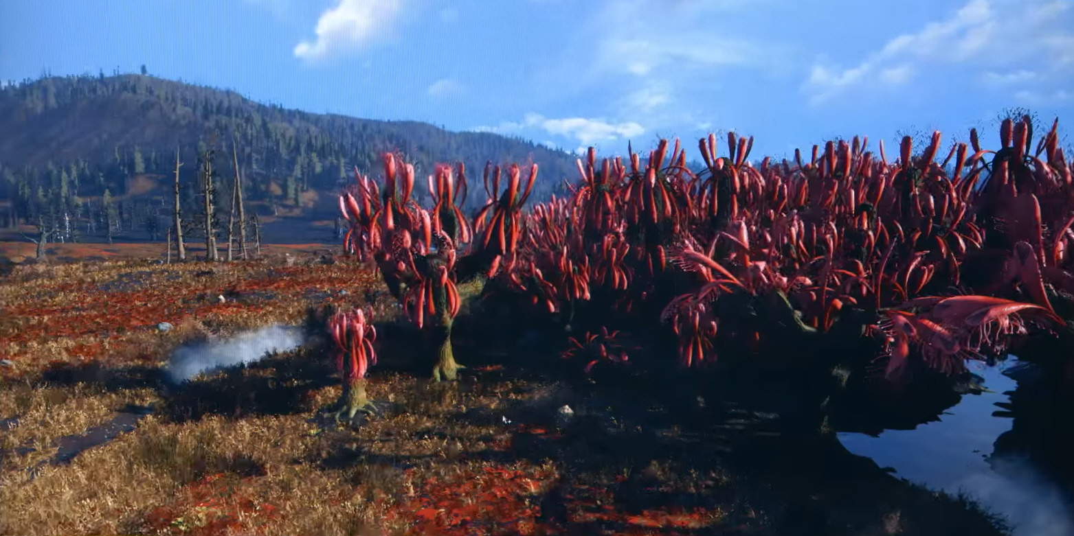 Cranberry Bog - The Fallout Wiki