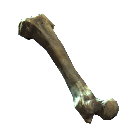 https://images.fallout.wiki/e/e4/Femur.png