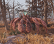 Fallout 76 Hermit Crab.png
