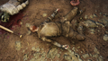 FO76 Flatwoods corpse.png