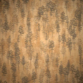 Score s16 camp wallpaper pinebarrens l.webp