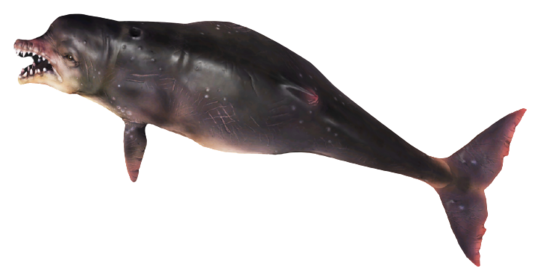 FO76 Whale render.png