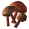 Cave fungus.png