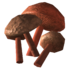 Cave fungus.png