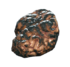 FO76 broiled scorchbeast brain.png