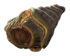 Stingwing meat.png