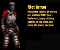 Riot armour.jpg