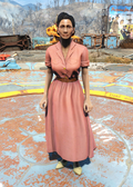 Fo4Laundered rose dress.png