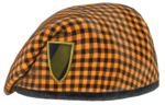 FO76 fasnacht beret.png