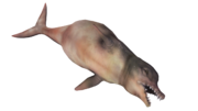 FO4-dolphin-whale-render.png