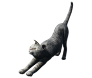 FO4 House Cat.png