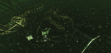 Submerged T-Rex closeup.png