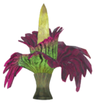 FO76 Corpse plant.png