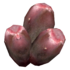 PricklyPearFruit2.png