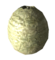 Pile of giant mantis eggs.png