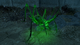 Glowing cave cricket.png