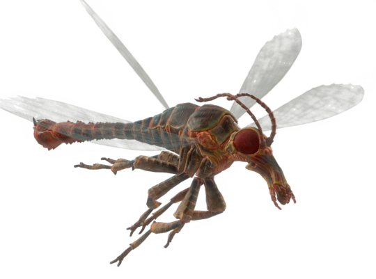 Fo4 stingwing transparent.png