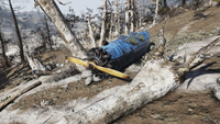 FO76 Crashed biplane Toxic Valley 4.png