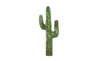 Dlc04 cactus01 20240126 19-19-03.webp