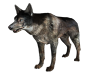 Dog FO3.png